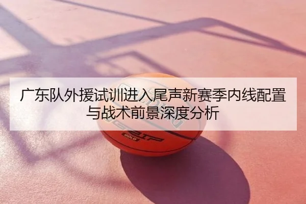 广东队外援试训进入尾声新赛季内线配置与战术前景深度分析